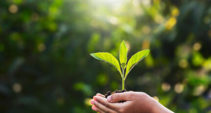 Advancing on our green energy transition